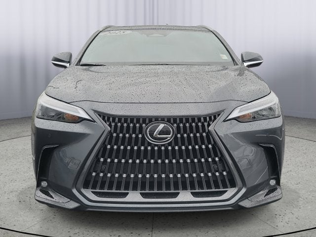 2025 Lexus NX NX 250 Premium in Gray — front three-quarter view
