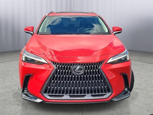 2025 Lexus NX